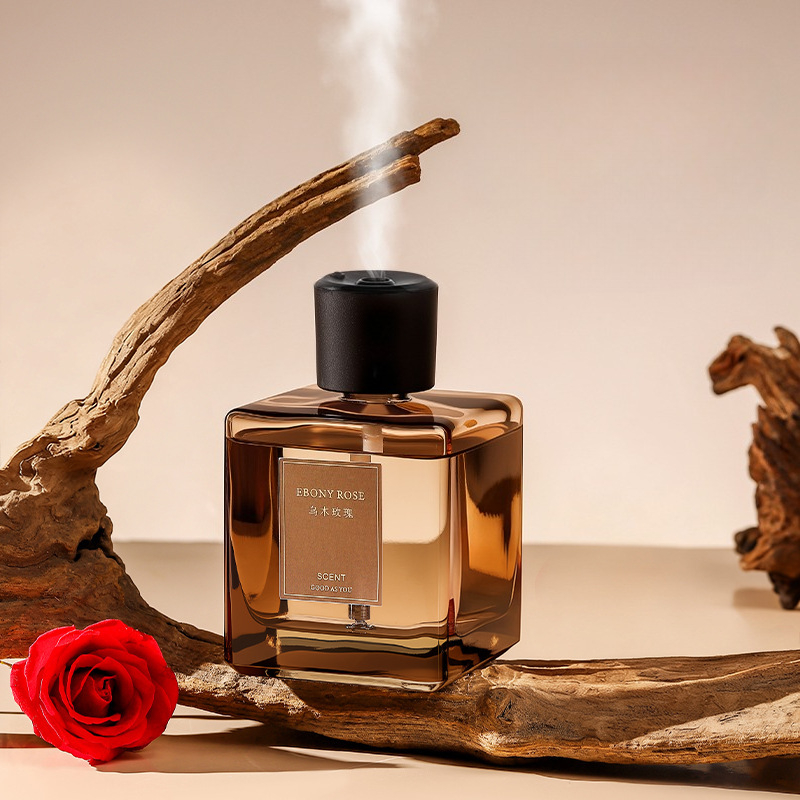 Diffusore di Aromi da 500ml, D - Home Fragrance Logo recensione e prezzo