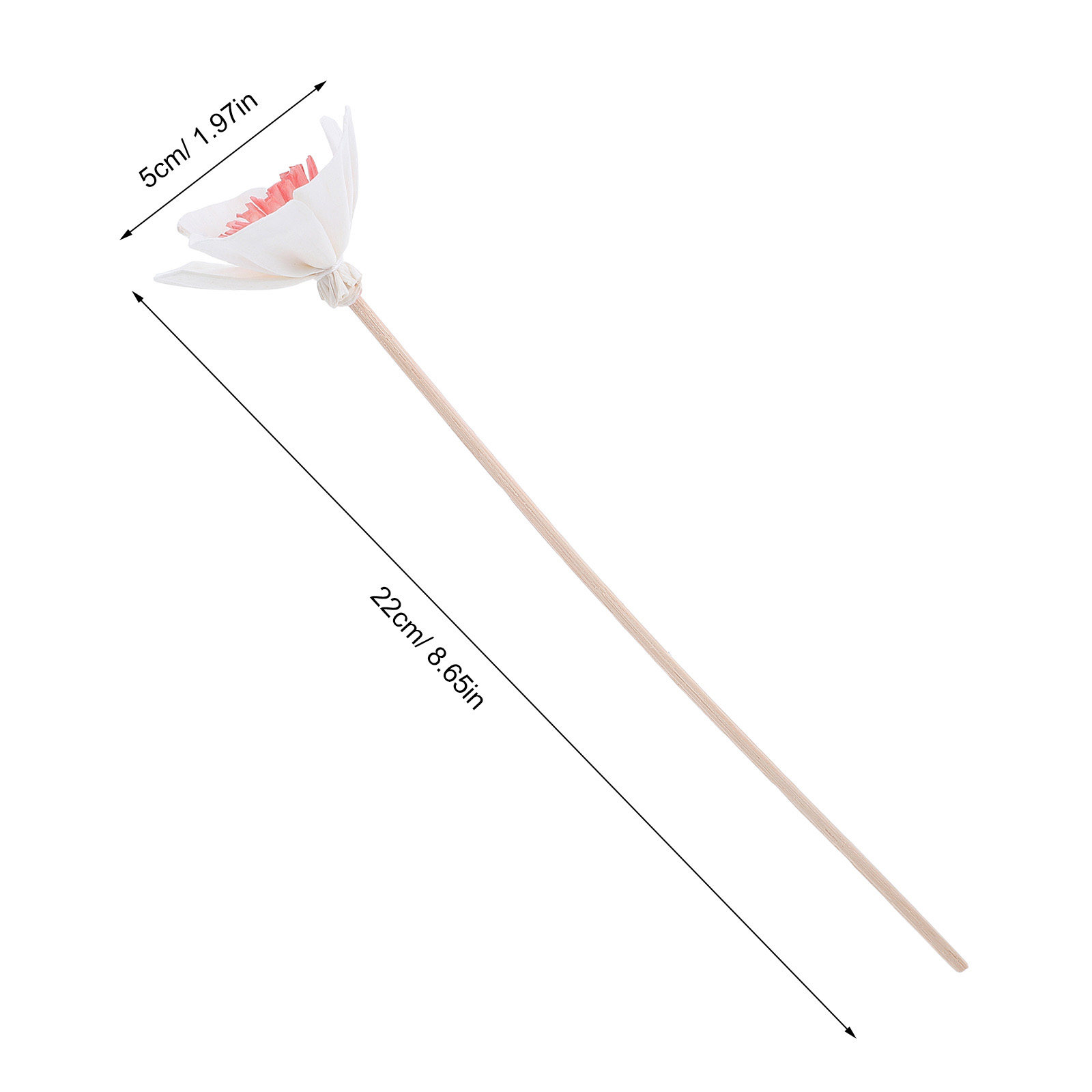 10 bastoncini diffusori per ol - Home Fragrance Usa recensione e prezzo