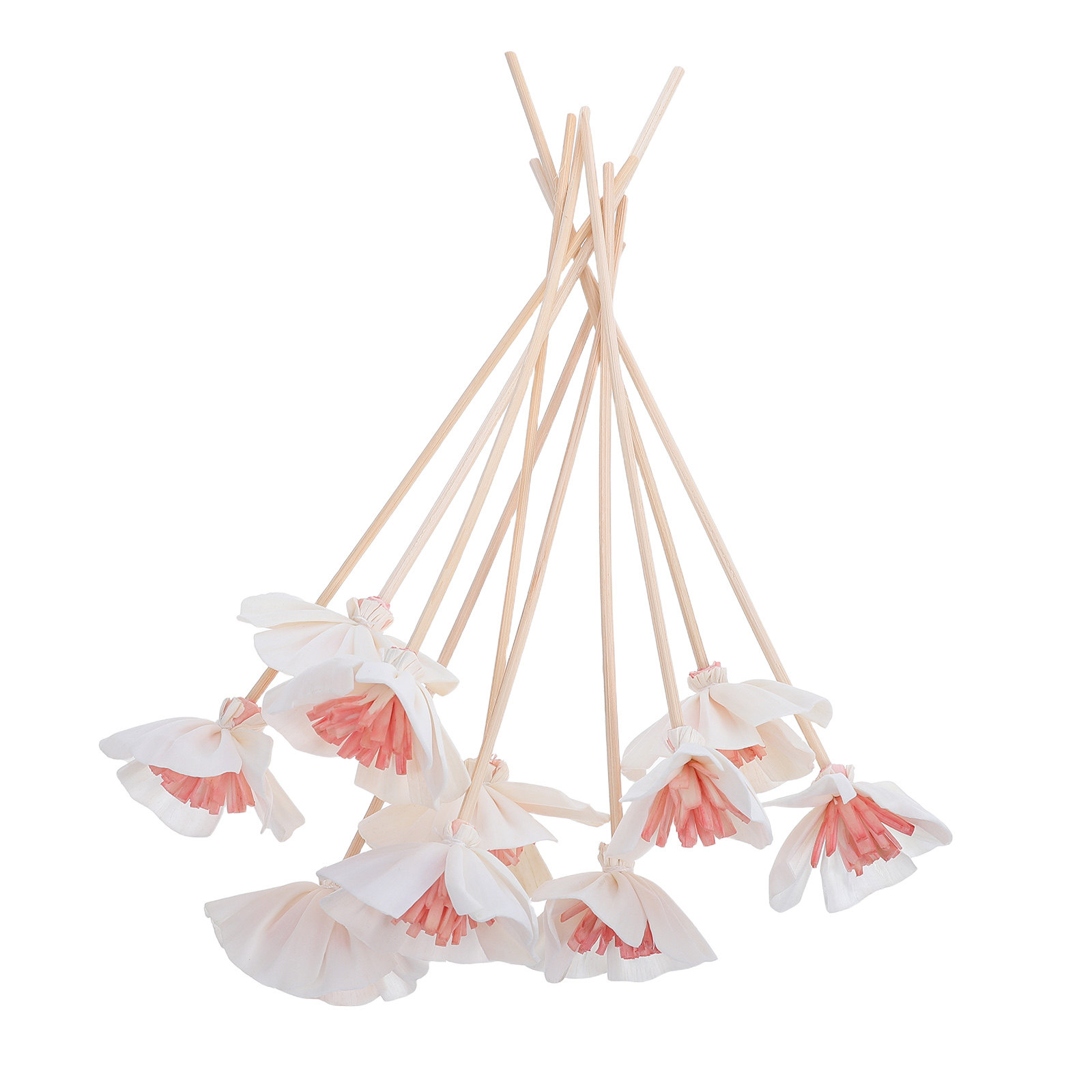 10 bastoncini diffusori per ol - Home Fragrance Usa recensione e prezzo