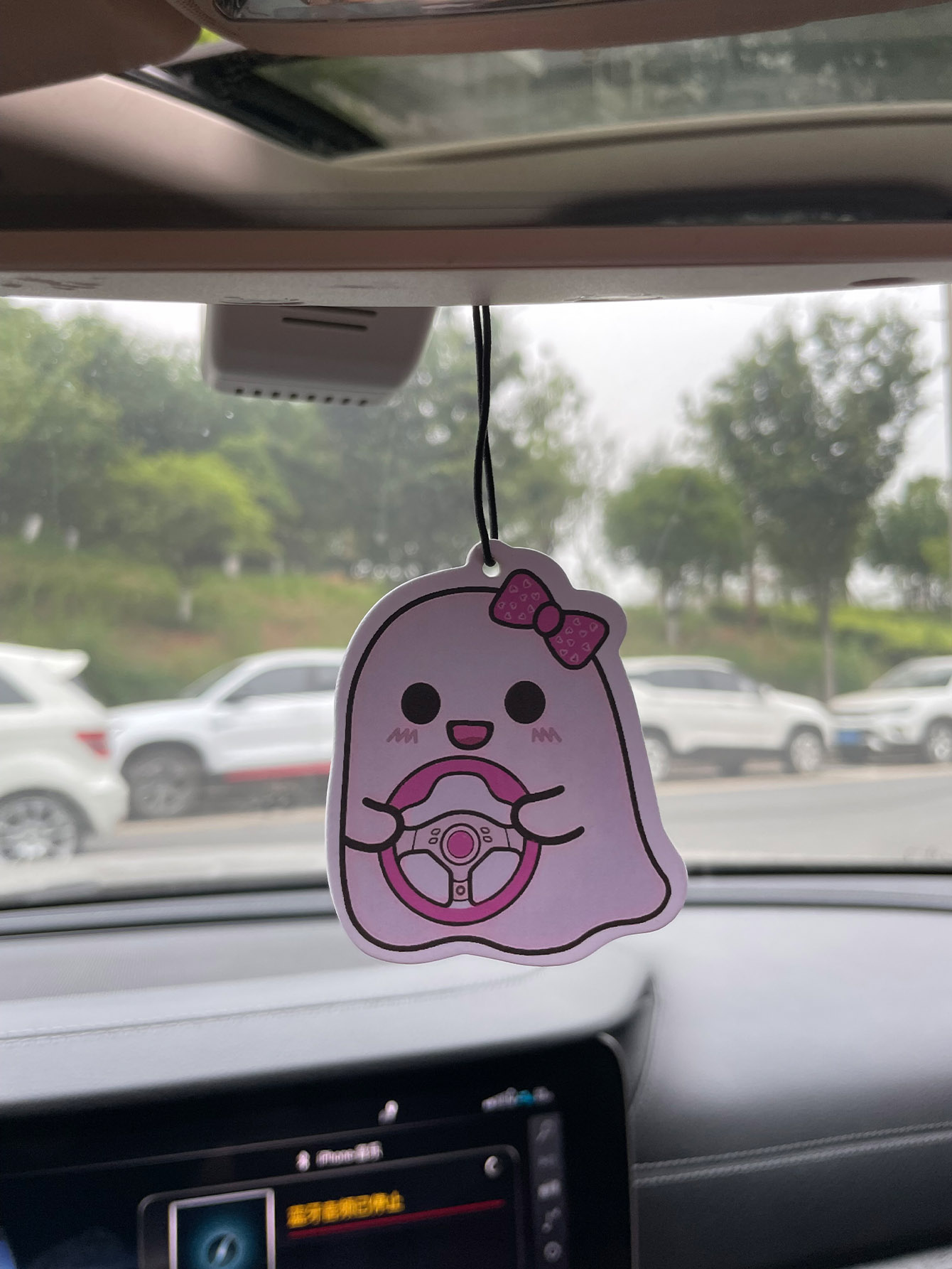 Profumo per Auto a Cinque Stel - Home Fragrance Non Toxic recensione e prezzo