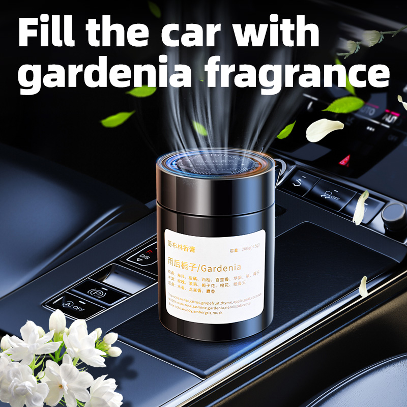 Deodorante per auto, nuovo mod - Home Fragrance Logo recensione e prezzo