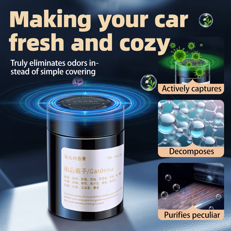 Deodorante per auto, nuovo mod - Home Fragrance Logo recensione e prezzo